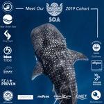 2019 Accelerator Cohort