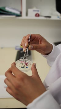 big microplastics