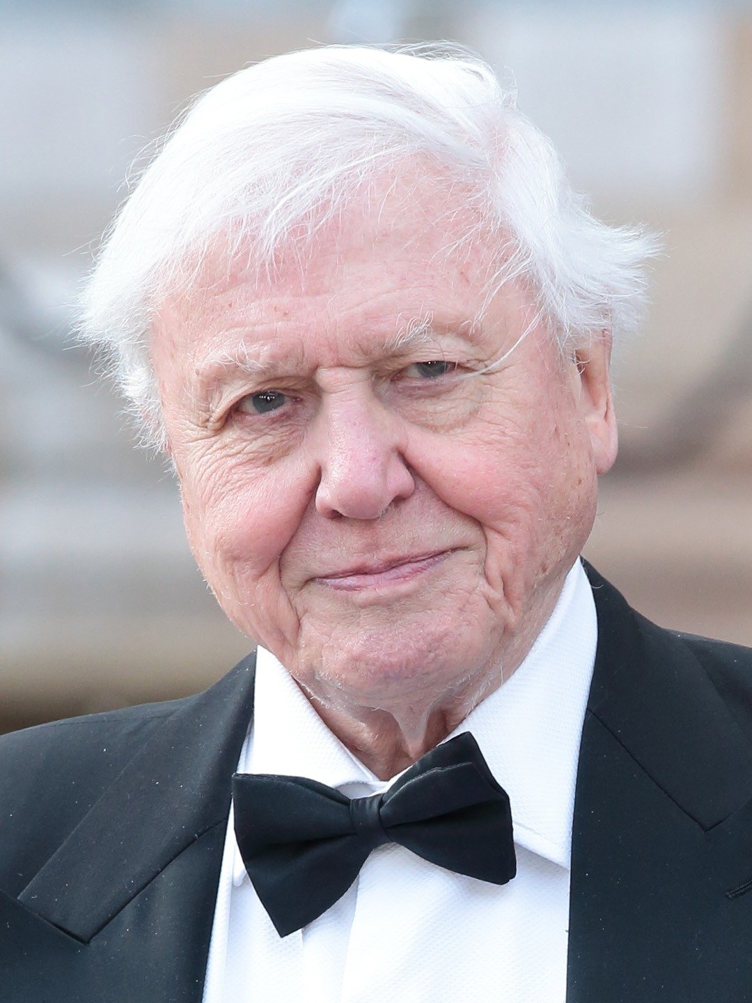 sir david attenborough